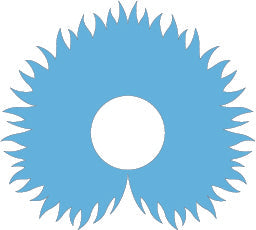 carolinablue