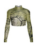 moss
