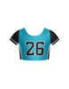 darkturquoise