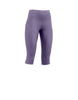 frenchlilac