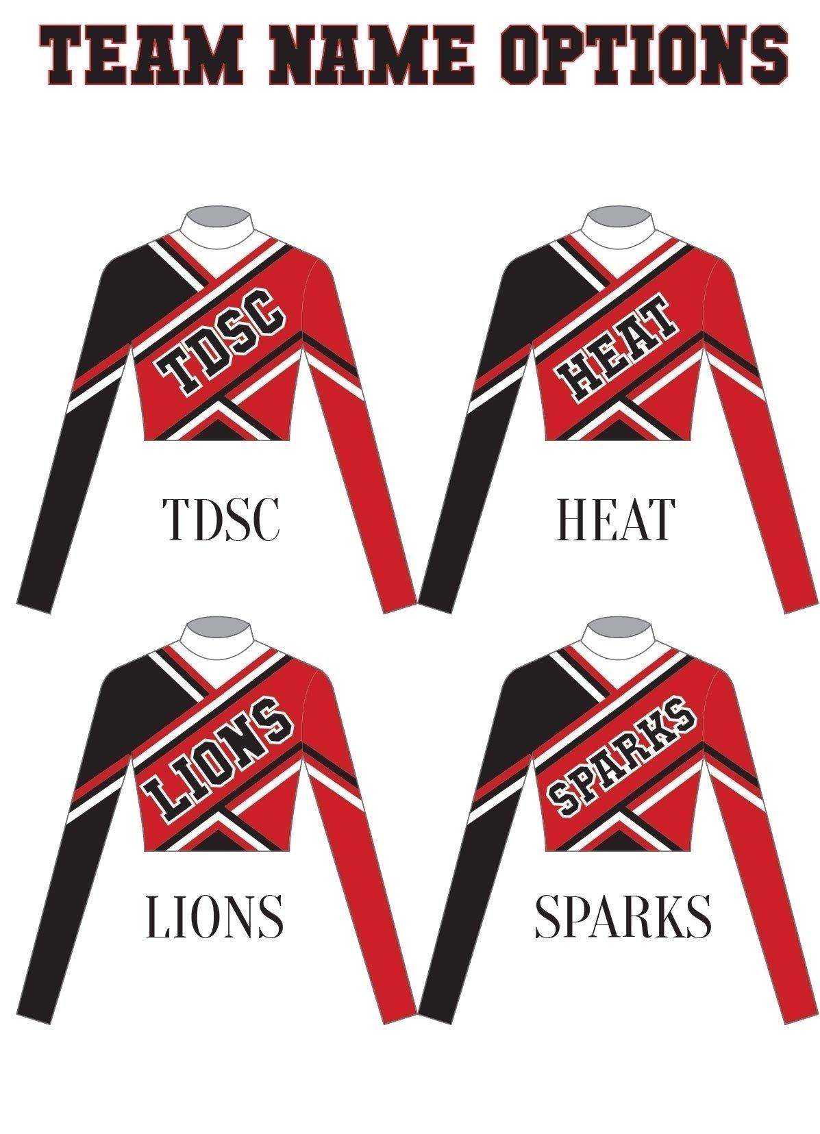 Cheer Leader LS Biketard - Hamilton Theatrical